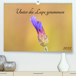 Unter die Lupe genommen (Premium, hochwertiger DIN A2 Wandkalender 2022, Kunstdruck in Hochglanz) von Andreas Lederle,  Kevin