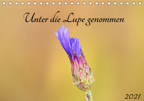 Unter die Lupe genommen (Tischkalender 2021 DIN A5 quer) von Andreas Lederle,  Kevin