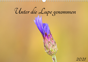 Unter die Lupe genommen (Wandkalender 2021 DIN A3 quer) von Andreas Lederle,  Kevin