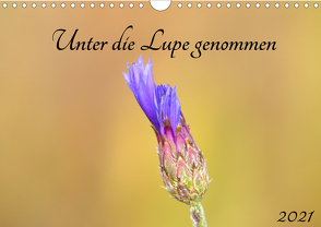 Unter die Lupe genommen (Wandkalender 2021 DIN A4 quer) von Andreas Lederle,  Kevin