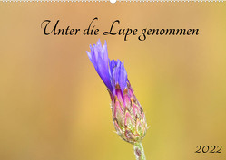 Unter die Lupe genommen (Wandkalender 2022 DIN A2 quer) von Andreas Lederle,  Kevin