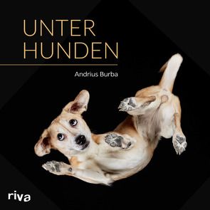 Unter Hunden von Burba,  Andrius
