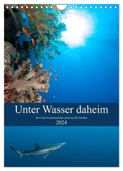 Unter Wasser daheim (Wandkalender 2024 DIN A4 hoch), CALVENDO Monatskalender von Gruse,  Sven