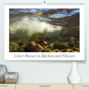 Unter Wasser in Bächen und Flüssen (Premium, hochwertiger DIN A2 Wandkalender 2023, Kunstdruck in Hochglanz) von Martin Sczyrba,  Dr.