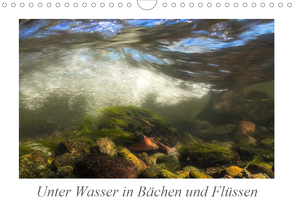 Unter Wasser in Bächen und Flüssen (Wandkalender 2020 DIN A4 quer) von Martin Sczyrba,  Dr.