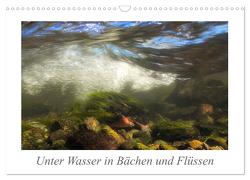Unter Wasser in Bächen und Flüssen (Wandkalender 2024 DIN A3 quer), CALVENDO Monatskalender von Martin Sczyrba,  Dr.