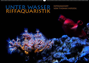 UNTER WASSER Riffaquaristik (Wandkalender 2023 DIN A2 quer) von Herzog,  Thomas, www.bild-erzaehler.com