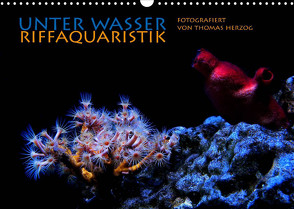 UNTER WASSER Riffaquaristik (Wandkalender 2023 DIN A3 quer) von Herzog,  Thomas, www.bild-erzaehler.com
