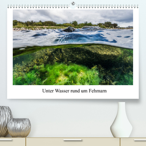 Unter Wasser rund um Fehmarn (Premium, hochwertiger DIN A2 Wandkalender 2023, Kunstdruck in Hochglanz) von Sczyrba,  Dr.Martin