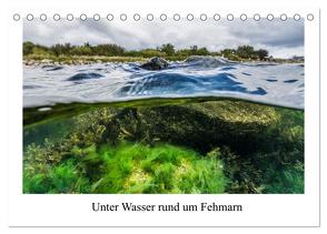 Unter Wasser rund um Fehmarn (Tischkalender 2024 DIN A5 quer), CALVENDO Monatskalender von Sczyrba,  Dr.Martin