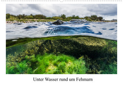Unter Wasser rund um Fehmarn (Wandkalender 2023 DIN A2 quer) von Sczyrba,  Dr.Martin