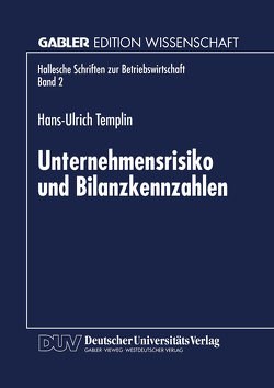 Unternehmensrisiko und Bilanzkennzahlen von Templin,  Hans-Ulrich