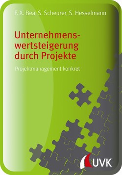 Unternehmenswertsteigerung durch Projekte von Bea,  Franz Xaver, Hesselmann,  Sabine, Scheurer,  Steffen