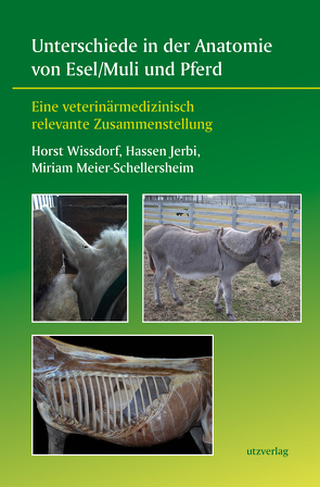 Unterschiede in der Anatomie von Esel/Muli und Pferd von Jerbi,  Hassen, Meier-Schellersheim,  Miriam, Wissdorf,  Horst