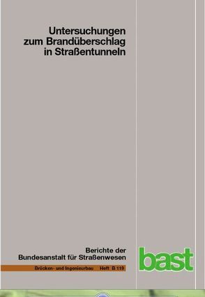 Untersuchungen zum Brandüberschlag in Straßentunneln von Dehn,  Frank, Guder,  Tom, Hegemann,  Kerstin, Juknat,  Michael, Schmidt,  Jörg, Simon,  Peter