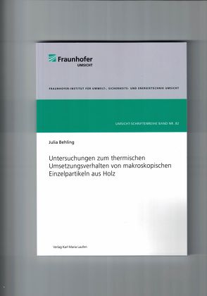 Untersuchungen zum thermischen Umsetzungsverhalten von makroskopischen Einzelpartikeln aus Holz von Behling,  Julia