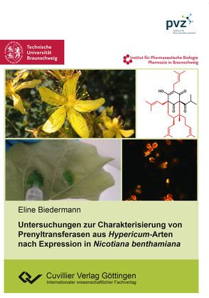 Untersuchungen zur Charakterisierung von Prenyltransferasen aus Hypericum-Arten nach Expression in Nicotiana benthamiana von Biedermann,  Eline