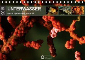 Unterwasser – artenreich, geheimnisvoll, spektakulär (Tischkalender 2019 DIN A5 quer) von Leipe (leipe photography),  Peter