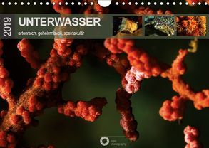 Unterwasser – artenreich, geheimnisvoll, spektakulär (Wandkalender 2019 DIN A4 quer) von Leipe (leipe photography),  Peter