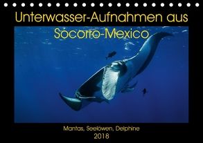 Unterwasser-Aufnahmen aus Socorro-Mexico (Tischkalender 2018 DIN A5 quer) von Caballero,  Sascha