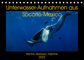Unterwasser-Aufnahmen aus Socorro-Mexico (Tischkalender 2023 DIN A5 quer) von Caballero,  Sascha