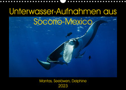 Unterwasser-Aufnahmen aus Socorro-Mexico (Wandkalender 2023 DIN A3 quer) von Caballero,  Sascha