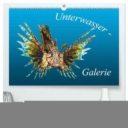 Unterwasser-Galerie (hochwertiger Premium Wandkalender 2024 DIN A2 quer), Kunstdruck in Hochglanz von Niemann,  Ute