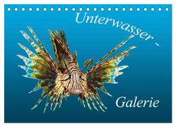 Unterwasser-Galerie (Tischkalender 2024 DIN A5 quer), CALVENDO Monatskalender von Niemann,  Ute