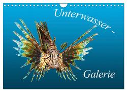 Unterwasser-Galerie (Wandkalender 2024 DIN A4 quer), CALVENDO Monatskalender von Niemann,  Ute