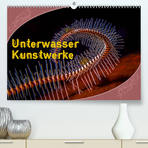 Unterwasser Kunstwerke (Premium, hochwertiger DIN A2 Wandkalender 2022, Kunstdruck in Hochglanz) von Gödecke,  Dieter