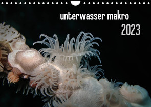 unterwasser makro 2023 (Wandkalender 2023 DIN A4 quer) von Weber-Gebert,  Claudia