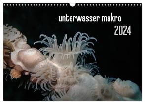 unterwasser makro 2024 (Wandkalender 2024 DIN A3 quer), CALVENDO Monatskalender von Weber-Gebert,  Claudia