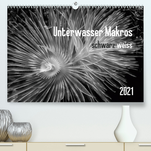 Unterwasser Makros – schwarz weiss 2021 (Premium, hochwertiger DIN A2 Wandkalender 2021, Kunstdruck in Hochglanz) von Weber-Gebert,  Claudia