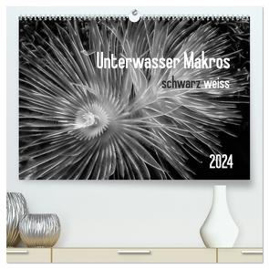 Unterwasser Makros – schwarz weiss 2024 (hochwertiger Premium Wandkalender 2024 DIN A2 quer), Kunstdruck in Hochglanz von Weber-Gebert,  Claudia
