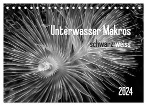 Unterwasser Makros – schwarz weiss 2024 (Tischkalender 2024 DIN A5 quer), CALVENDO Monatskalender von Weber-Gebert,  Claudia