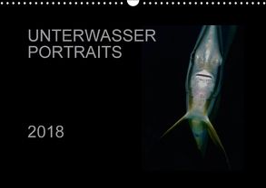 Unterwasser Portraits (Wandkalender 2018 DIN A3 quer) von Schulze / Kerstin Streicher,  Karsten
