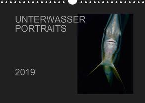 Unterwasser Portraits (Wandkalender 2019 DIN A4 quer) von Schulze / Kerstin Streicher,  Karsten