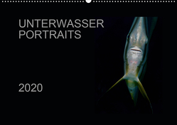 Unterwasser Portraits (Wandkalender 2020 DIN A2 quer) von Schulze / Kerstin Streicher,  Karsten