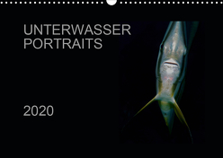 Unterwasser Portraits (Wandkalender 2020 DIN A3 quer) von Schulze / Kerstin Streicher,  Karsten