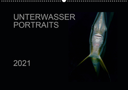 Unterwasser Portraits (Wandkalender 2021 DIN A2 quer) von Schulze / Kerstin Streicher,  Karsten