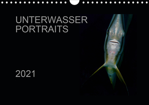 Unterwasser Portraits (Wandkalender 2021 DIN A4 quer) von Schulze / Kerstin Streicher,  Karsten