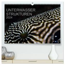 Unterwasser Strukuren (hochwertiger Premium Wandkalender 2024 DIN A2 quer), Kunstdruck in Hochglanz von Schulze,  Karsten