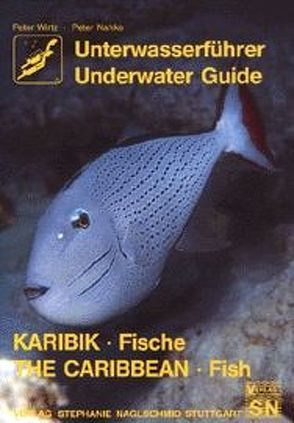 Unterwasserführer Karibik: Fische /Caribbean Underwater Guide: Fish von Nahke,  Peter, Wirtz,  Peter
