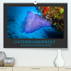 Unterwasserwelt – Das Leben am Korallenriff (Premium, hochwertiger DIN A2 Wandkalender 2023, Kunstdruck in Hochglanz) von Meutzner,  Dirk