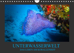 Unterwasserwelt – Das Leben am Korallenriff (Wandkalender 2023 DIN A4 quer) von Meutzner,  Dirk
