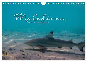 Unterwasserwelt der Malediven I (Wandkalender 2024 DIN A4 quer), CALVENDO Monatskalender von RODRIGUEZ Photography,  CLAVE