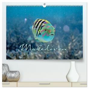 Unterwasserwelt der Malediven II (hochwertiger Premium Wandkalender 2024 DIN A2 quer), Kunstdruck in Hochglanz von RODRIGUEZ Photography,  CLAVE