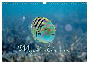 Unterwasserwelt der Malediven II (Wandkalender 2024 DIN A3 quer), CALVENDO Monatskalender von RODRIGUEZ Photography,  CLAVE