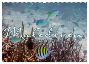 Unterwasserwelt der Malediven III (Wandkalender 2024 DIN A2 quer), CALVENDO Monatskalender von RODRIGUEZ Photography,  CLAVE