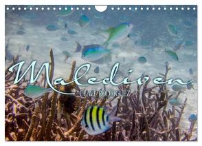 Unterwasserwelt der Malediven III (Wandkalender 2024 DIN A4 quer), CALVENDO Monatskalender von RODRIGUEZ Photography,  CLAVE